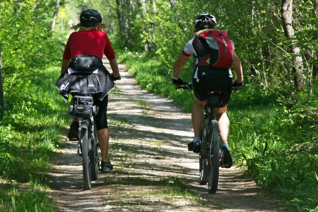 Two cyclists riding on a tree-lined dirt path through lush green vegetation