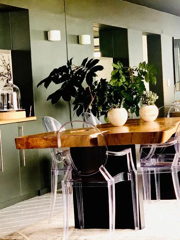 Wooden dining table with transparent chairs and potted plants