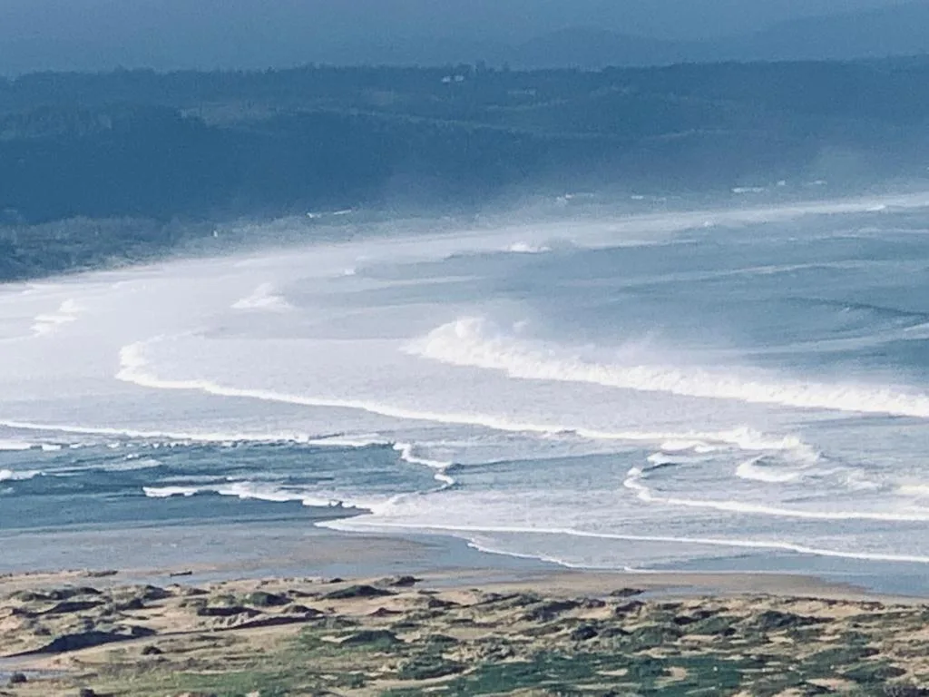 Panoramic coastal view of Plettenberg Bay with sandy beach and rolling waves
