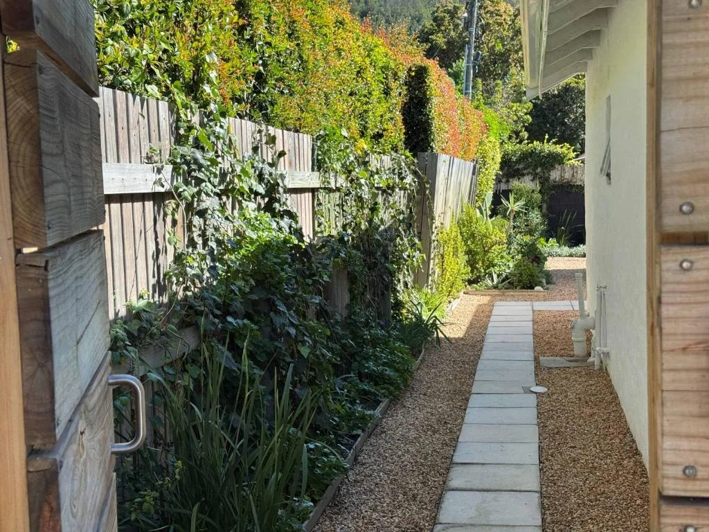 Lush garden pathway with ivy-covered fence and planted borders