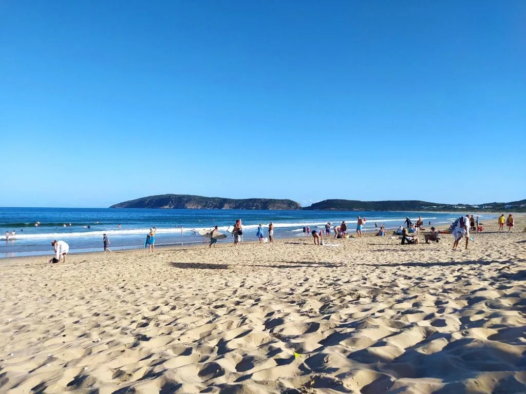 Scenic beach with islands, waves, and beachgoers under clear blue sky
