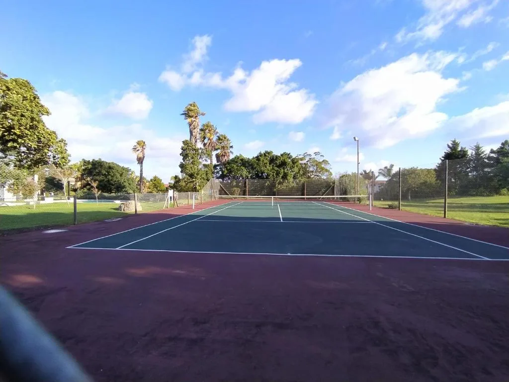 Well-maintained tennis court with professional surface markings and net