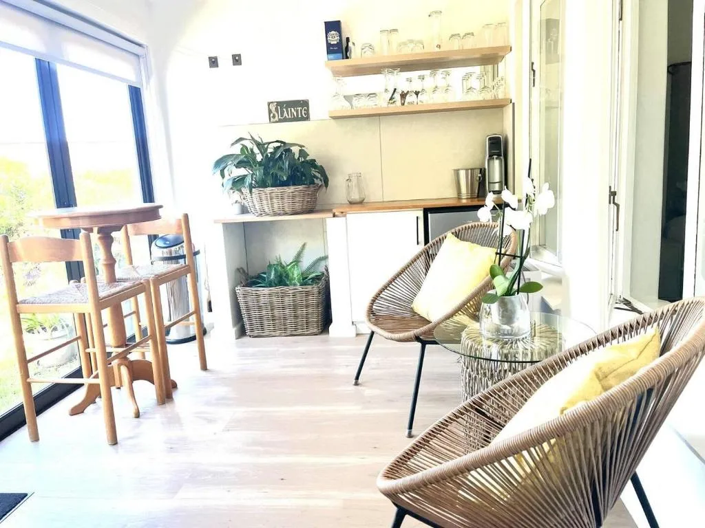 Bright lounge with wicker chairs, shelving, plants, and window seating area