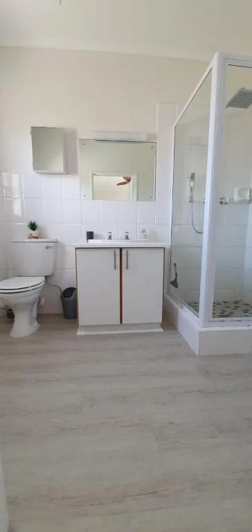 Modern bathroom with white vanity, mirror, and enclosed shower stall