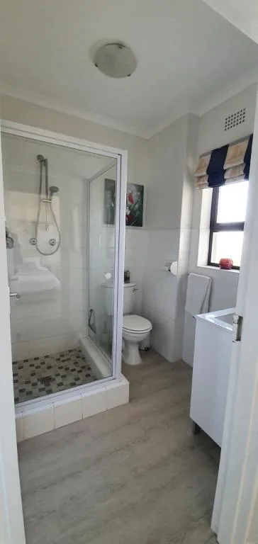 Modern bathroom with walk-in shower, toilet, and white vanity sink