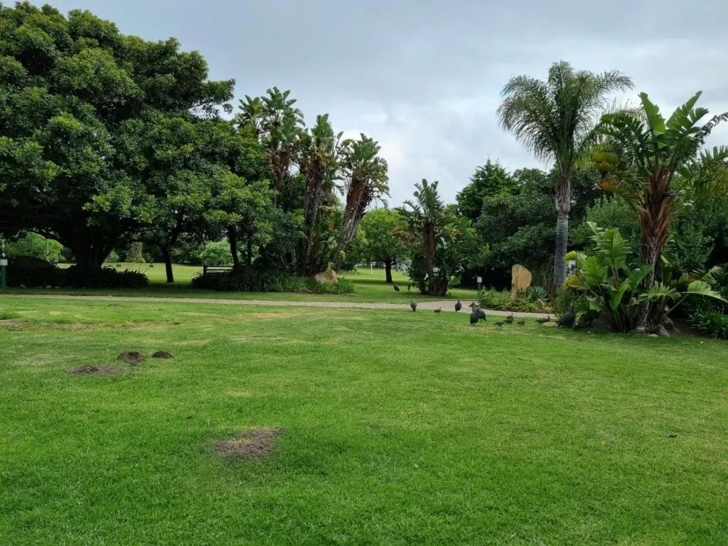 Lush green gardens with mature trees and tropical plants surrounding property