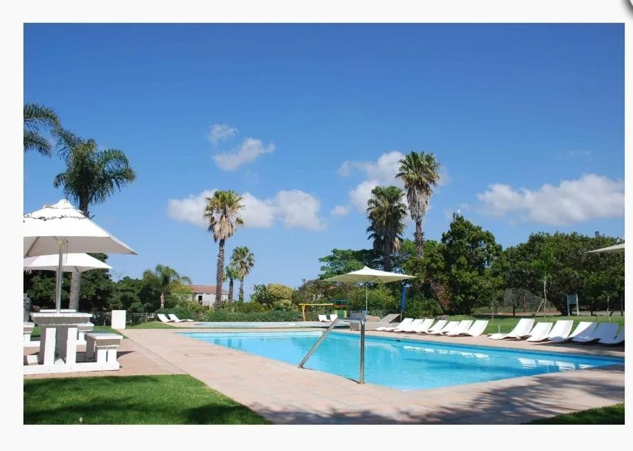 Resort pool with loungers, umbrellas, palm trees and manicured gardens