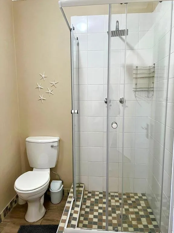 Bright bathroom with white tile shower enclosure and toilet