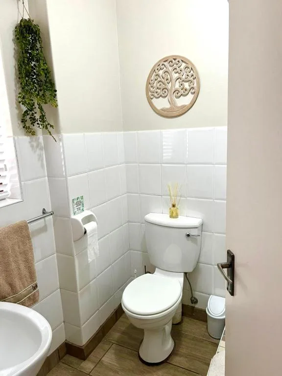 Clean white bathroom with toilet, decorative wall art, and hanging greenery