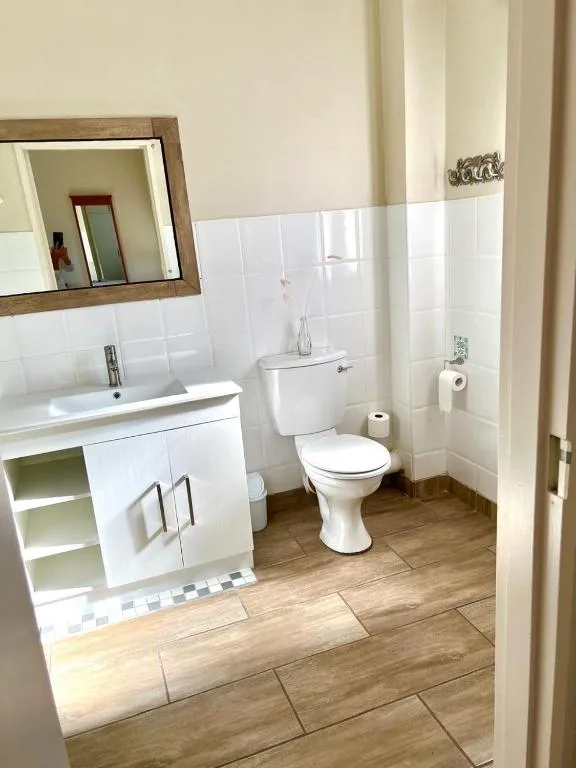 Clean bathroom with white vanity, toilet, and wood-look tile flooring