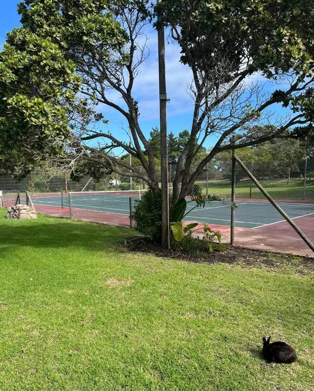 Tennis courts and manicured lawn with mature trees on property grounds