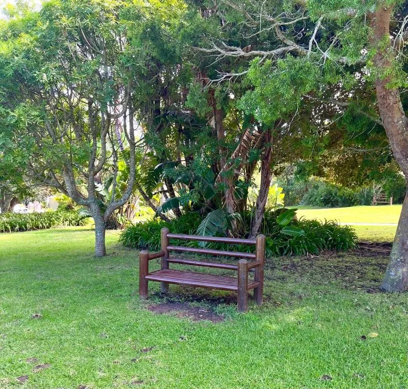 Wooden bench beneath mature trees in lush green garden setting