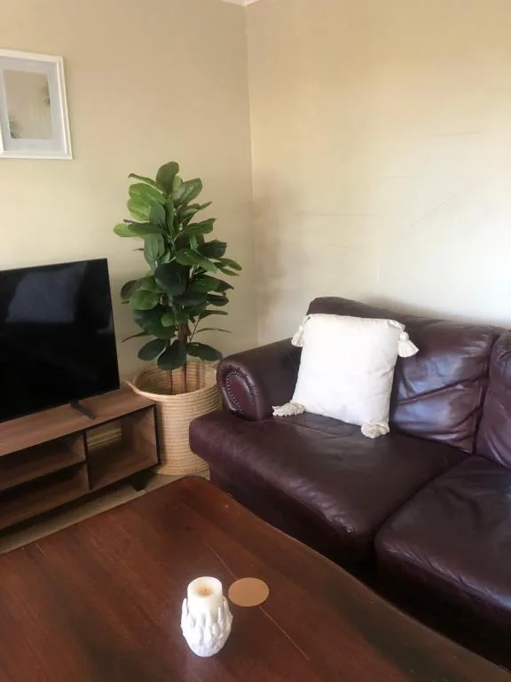 Dark leather sofa with white cushions, TV on wooden stand, potted plant