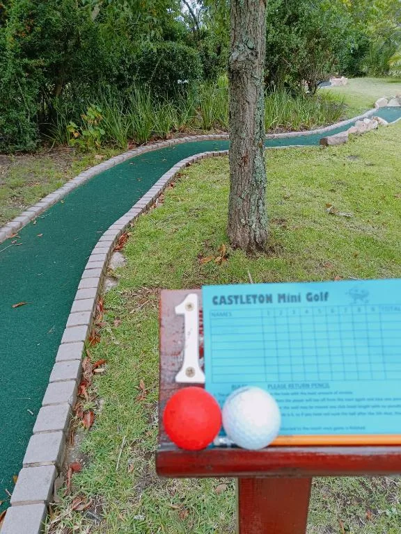 Mini golf course with scorecard and colored balls on grass