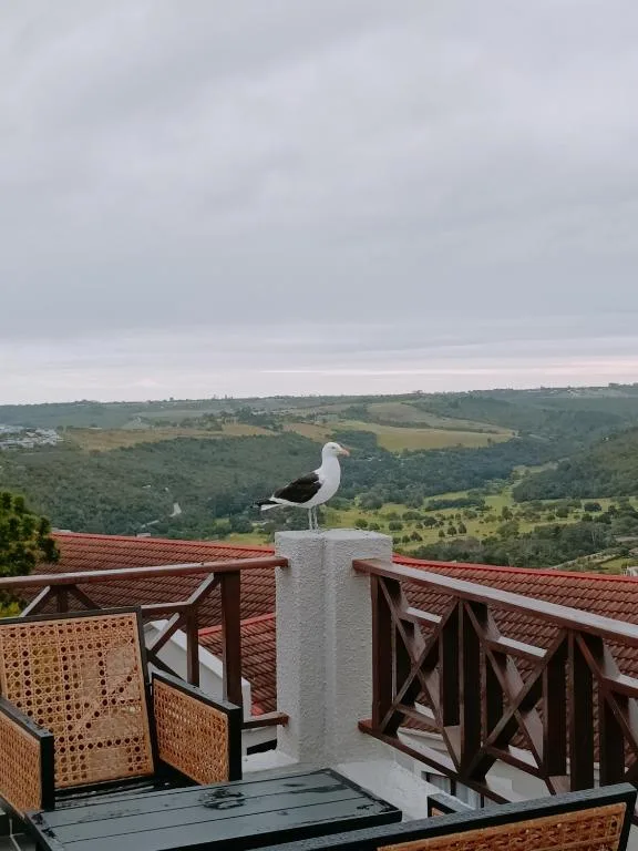 Expansive valley landscape view with rolling green hills from deck