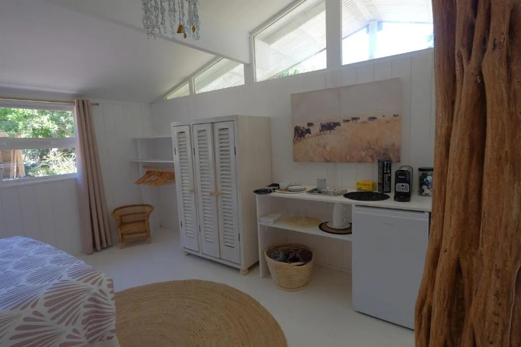 Bright bedroom with kitchenette, bed, wardrobe, and high windows