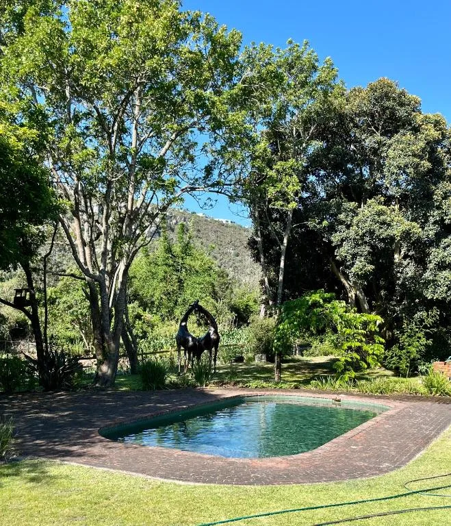 Sparkling pool nestled among mature trees with mountain views beyond