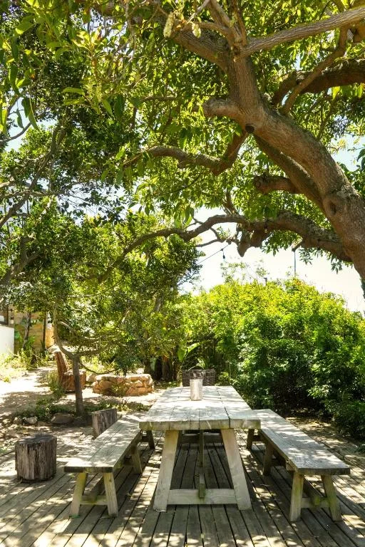 Shaded outdoor picnic area with wooden table beneath large tree