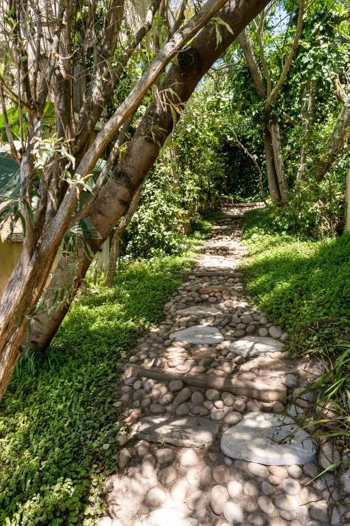 Stone pathway through lush green garden with mature trees