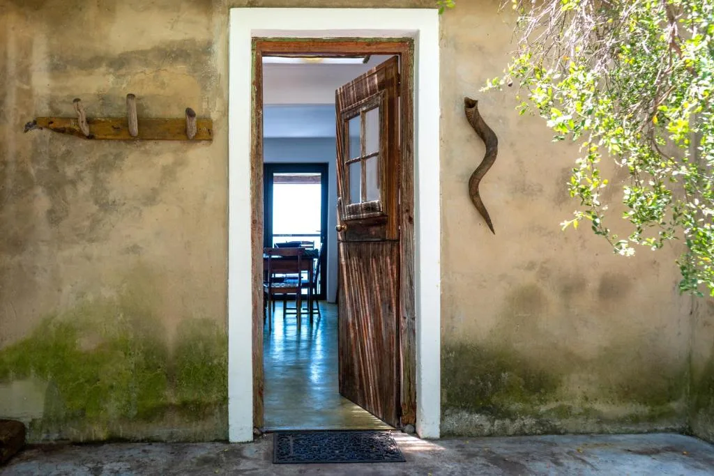 Rustic wooden door entrance with weathered plaster walls and climbing ivy