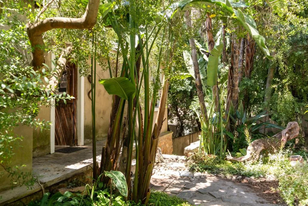 Lush garden pathway leading to cottage entrance with climbing vines