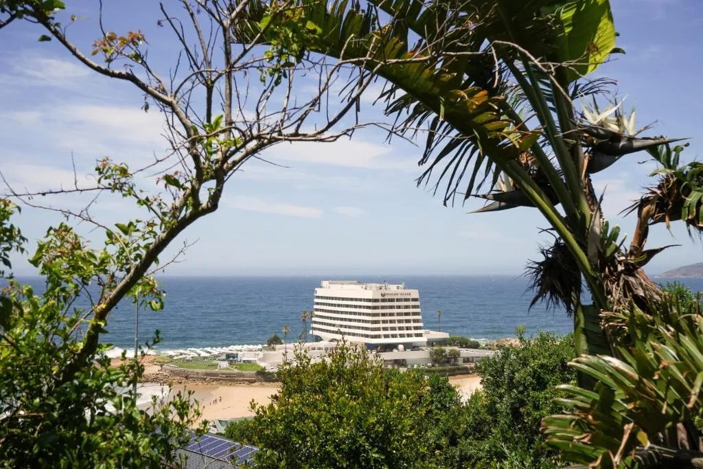 Ocean and beach vista framed by tropical vegetation and trees