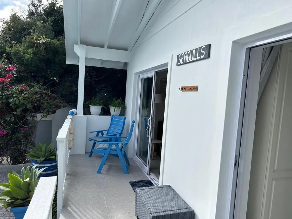 Covered patio with blue chairs, potted plants, and garden views at dusk