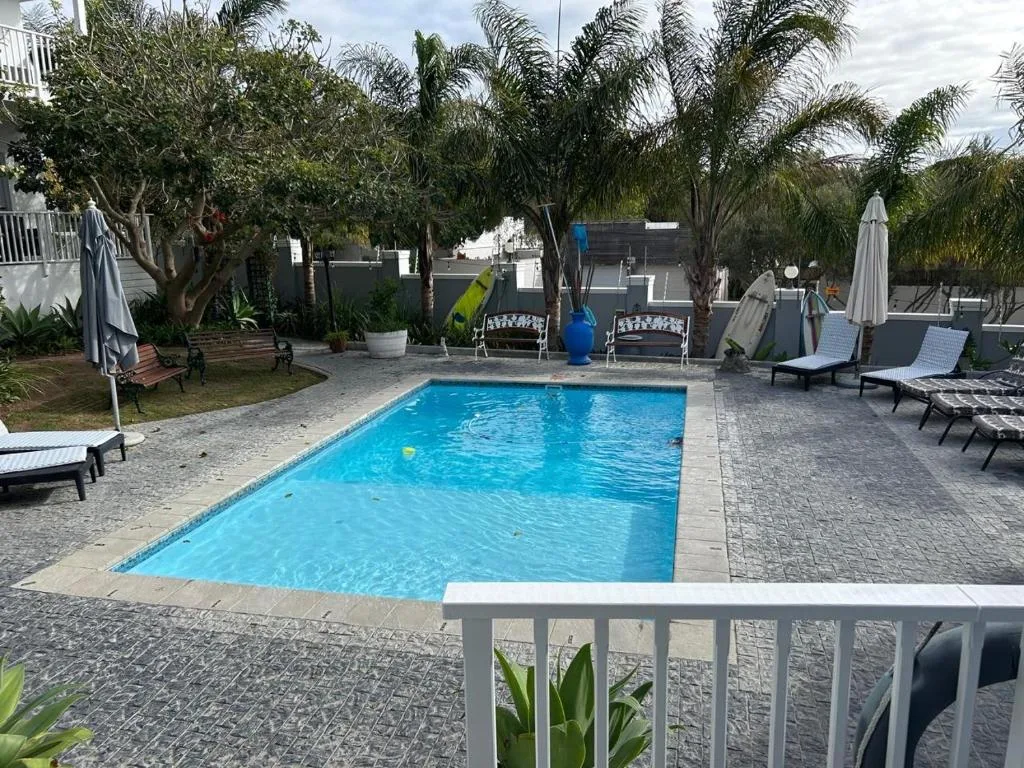Rectangular swimming pool with loungers and palm trees surrounding the deck area