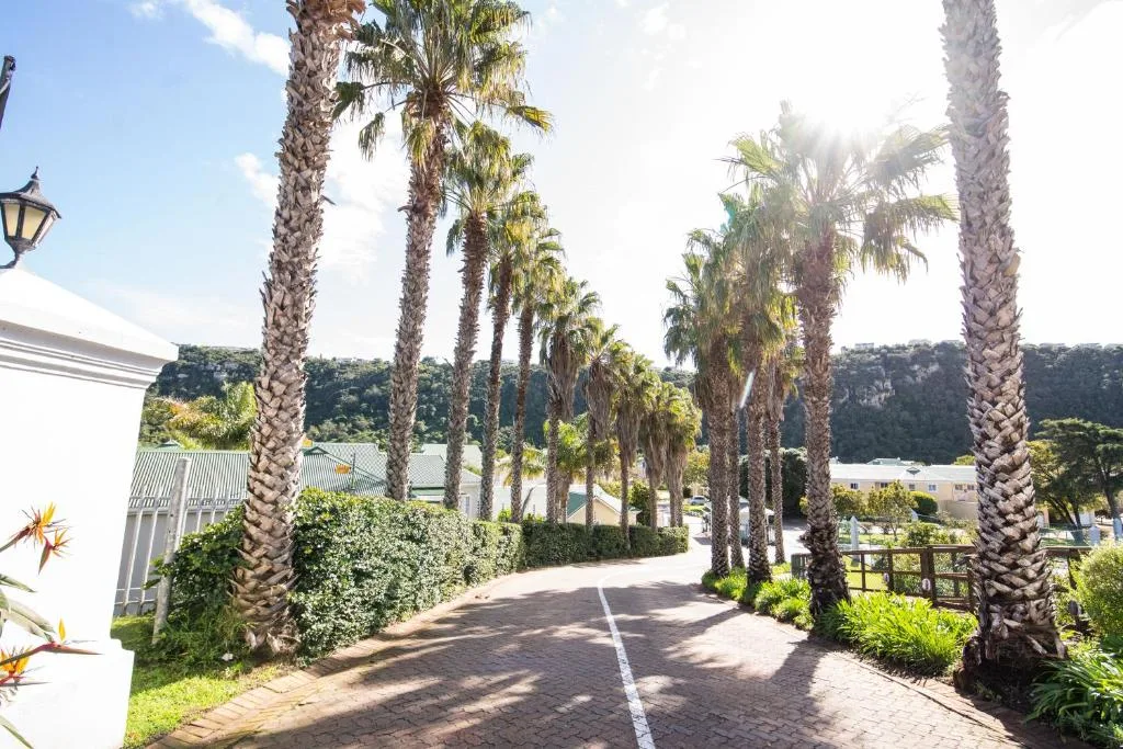Palm-lined driveway with lush landscaping and distant water views