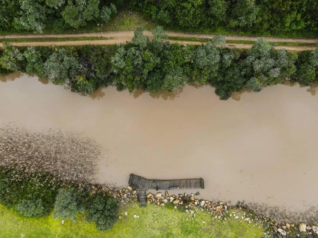 Aerial view of lagoon with mangrove forest and wooden jetty structure