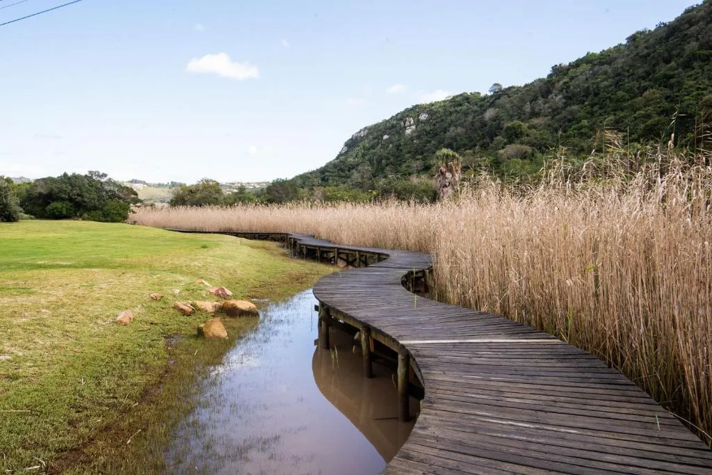 Scenic wetland landscape with wooden boardwalk, reeds, and green hills