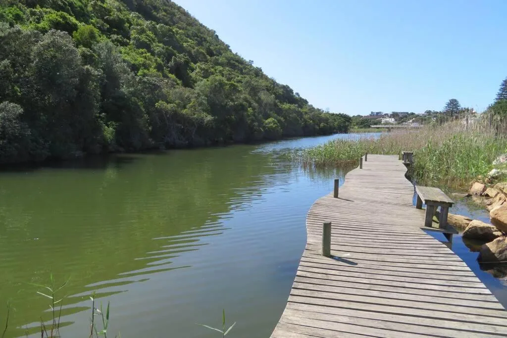 Scenic lagoon view with wooden boardwalk, lush vegetation, and calm water