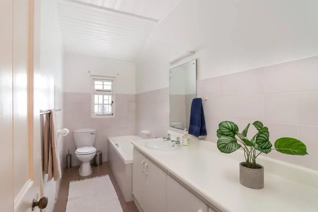 Modern bathroom with white vanity, mirror, toilet, and potted plant decoration