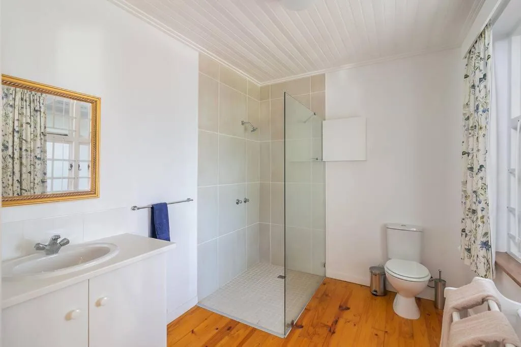 Bright bathroom with walk-in shower, vanity sink, and wooden floor