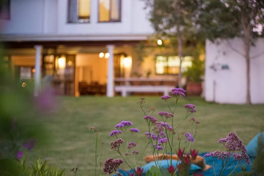 Modern white holiday home with manicured garden and flowering plants at dusk