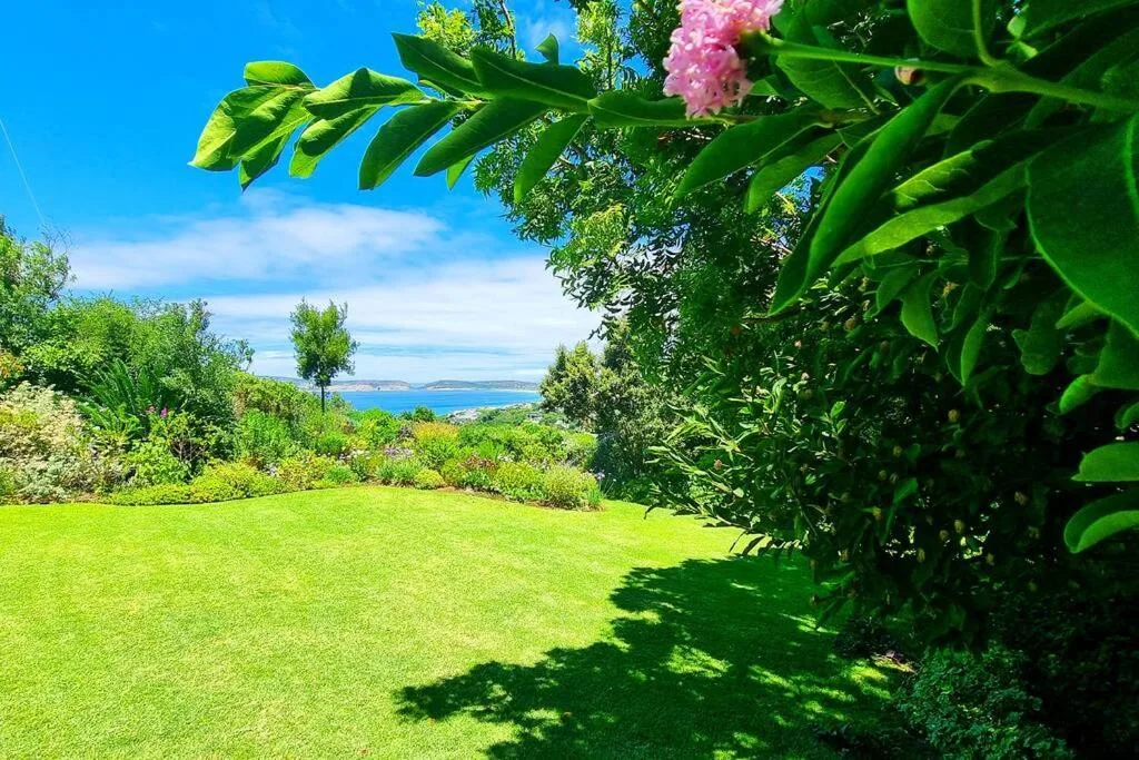 Lush green garden with ocean and coastal views beyond trees