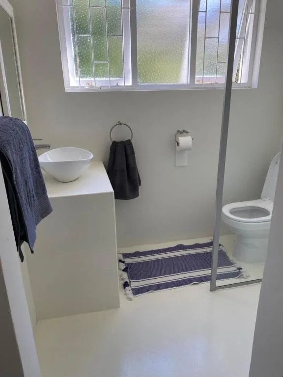 Modern bathroom with white basin, toilet, and frosted window