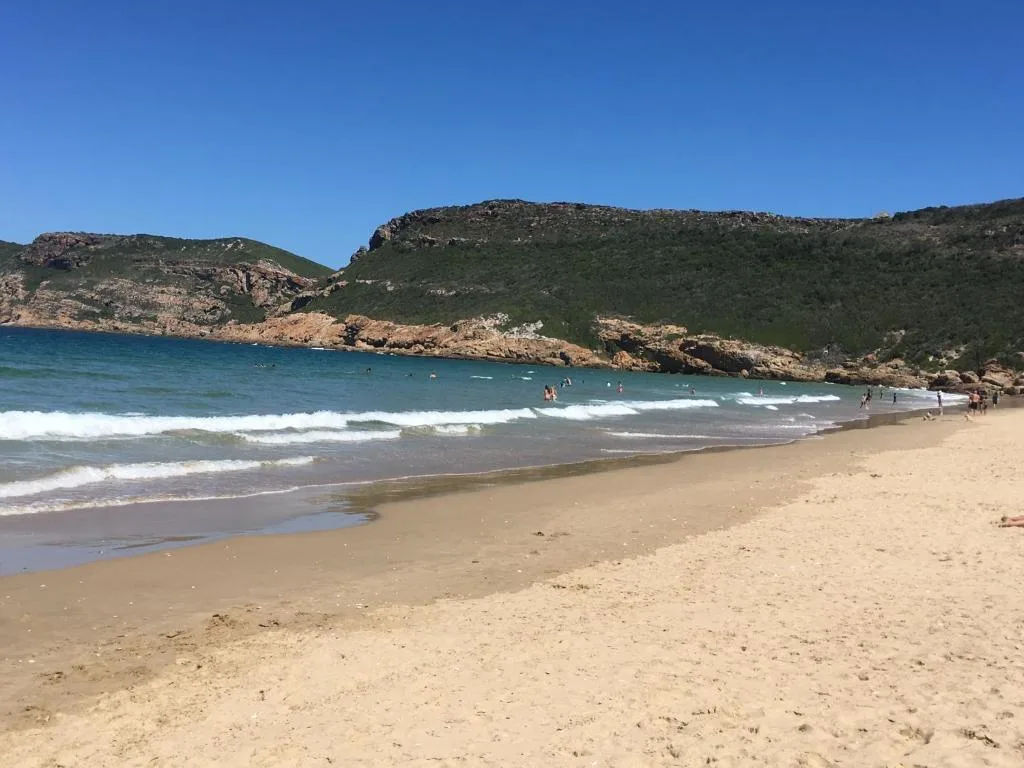 Scenic beach cove with golden sand, turquoise waters, and forested cliffs
