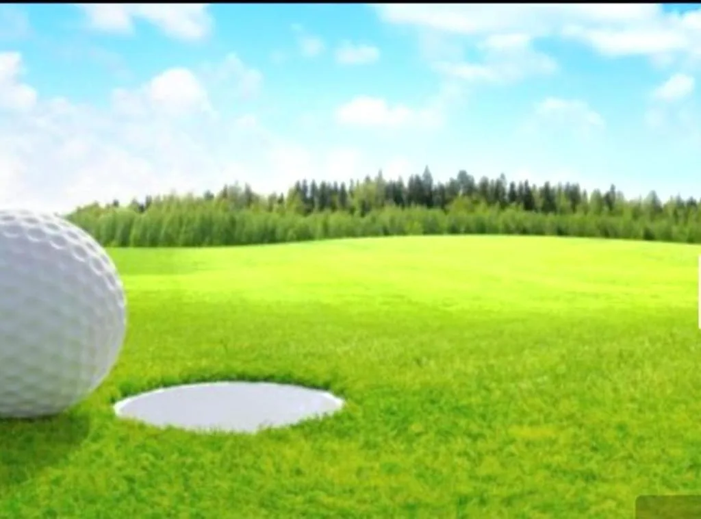 Golf ball on green with hole, trees and blue sky beyond
