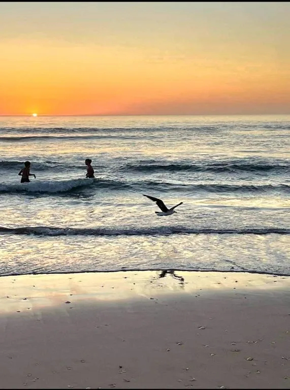 Sunset beach scene with swimmers and flying bird over waves