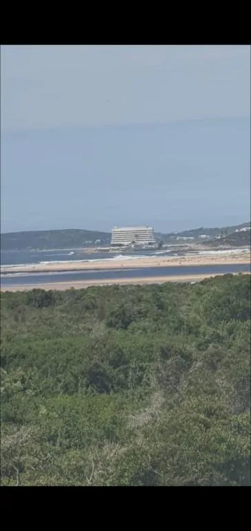 Scenic coastal view with golden beach, forested dunes, and distant cliffs