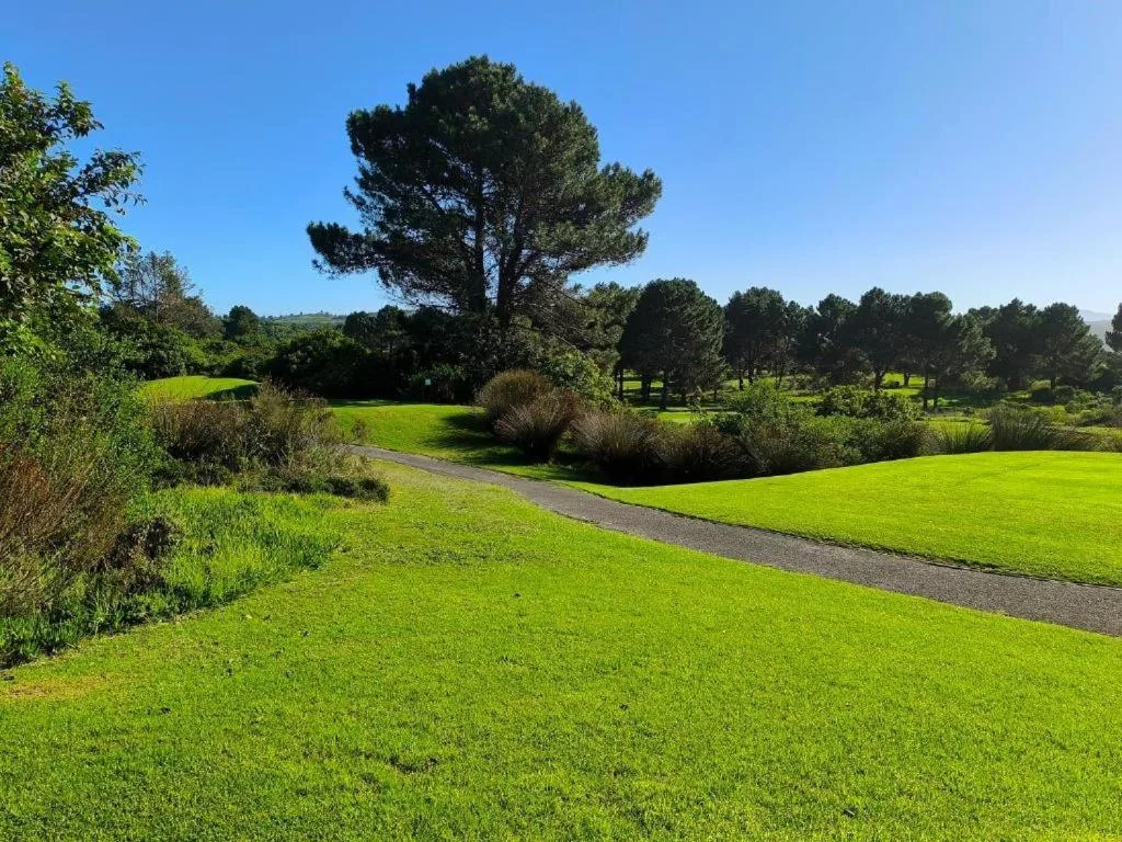 Lush manicured gardens with winding driveway and mature trees
