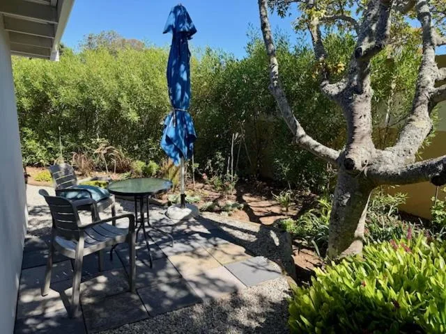 Outdoor patio with table, chairs, and blue umbrella surrounded by trees