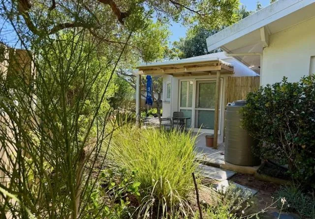 Modern studio cottage with wooden pergola and lush garden landscaping