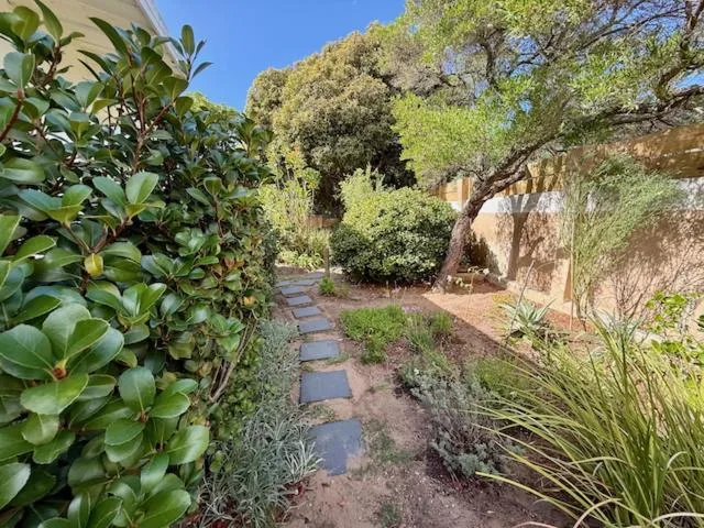 Lush garden pathway with native plants and mature trees leading to property