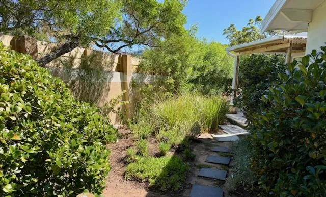 Lush garden pathway with native plants and wooden pergola structure