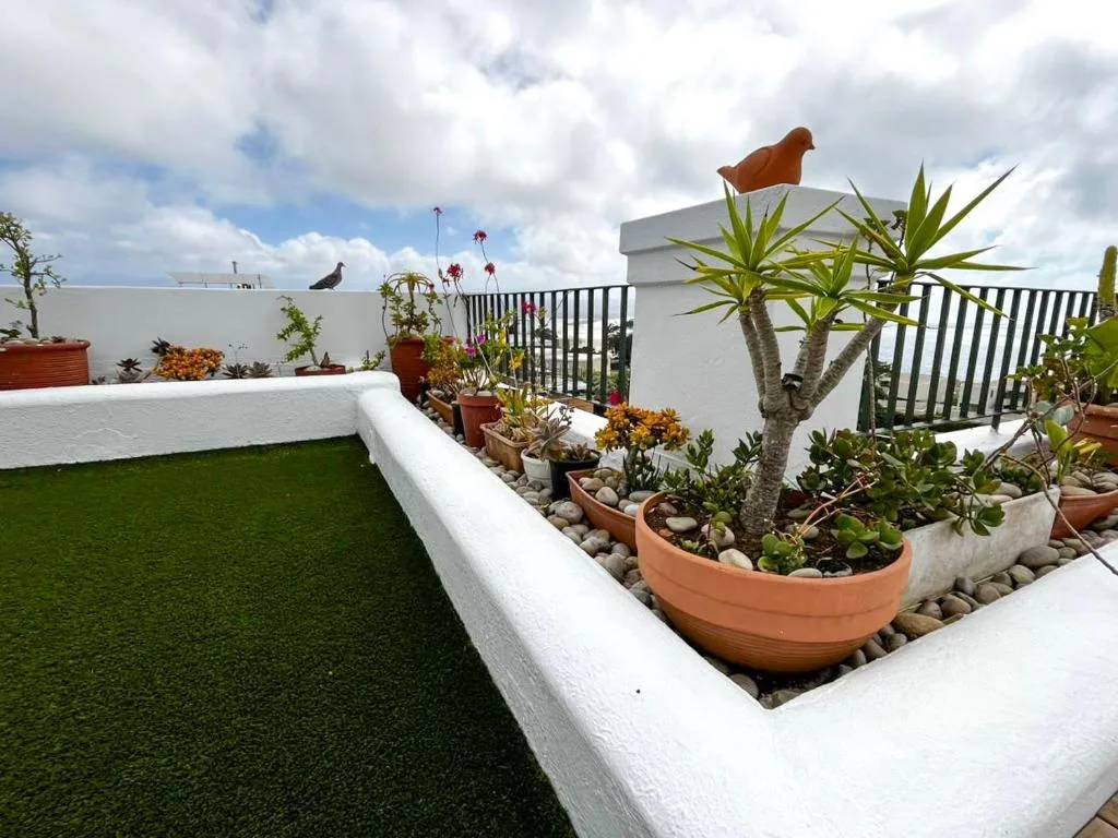Rooftop terrace with artificial grass, potted succulents, and white railings