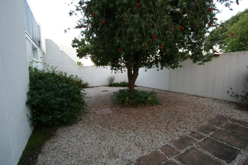 Spacious garden courtyard with mature tree and manicured hedges