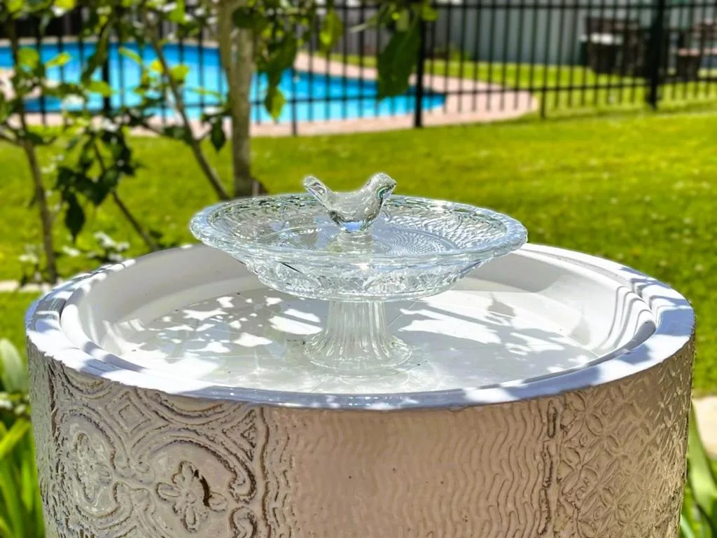 Decorative glass bird bath on ornate pedestal with pool visible beyond