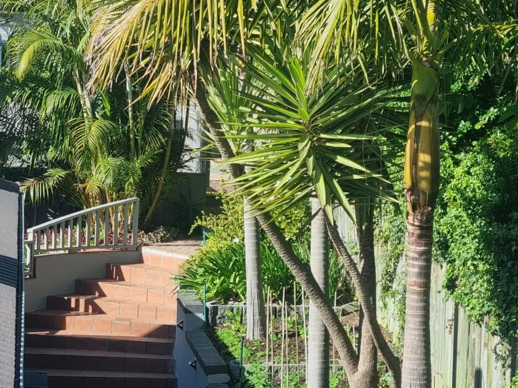 Tropical garden deck with palm trees and terracotta stairs